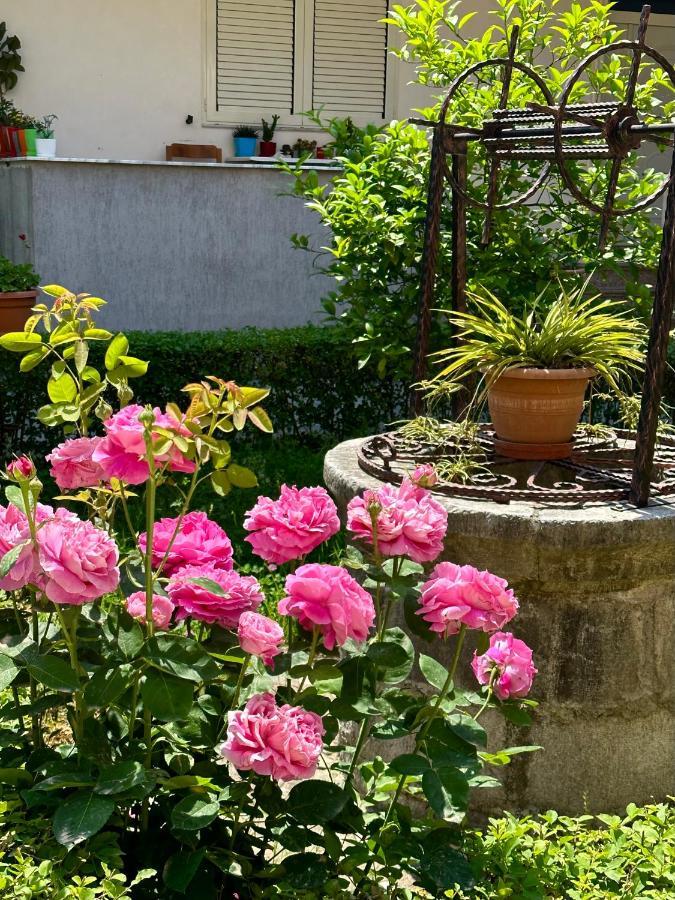 Js House Shkoder 1 Apartamento Exterior foto